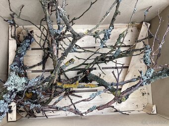 Stabilizovaný mech k vlastní výrobě mechových obrazů 3 druhy - 2