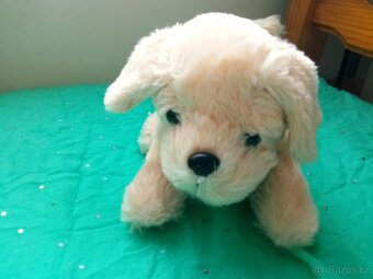 Plyšový pejsek - 2