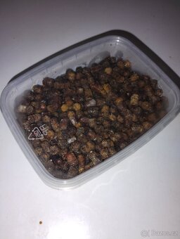 Perga - včelí chléb - 2