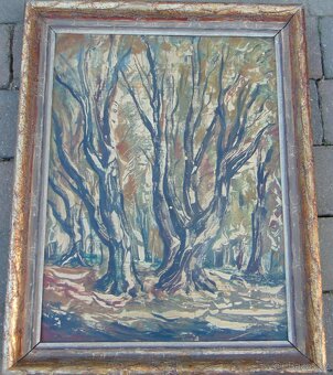 Obraz Hukvaldy - Beran - 2