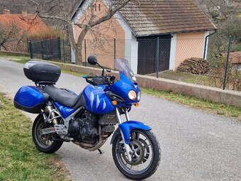 Triumph Tiger 955i - 2