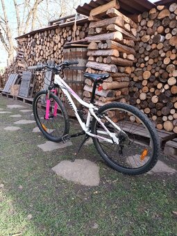 Dívčí kolo Autor - 2