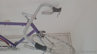 Singlespeed projekt kolo - 2