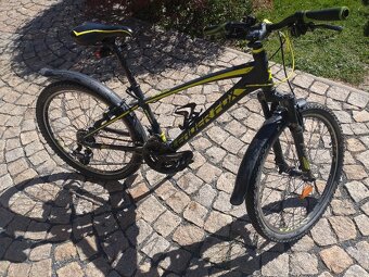 Leader fox spider 24´´ - 2