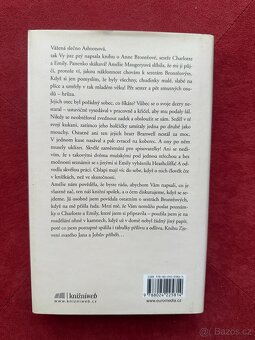Spolek přátel krásné literatury a bramborových koláčů - 2