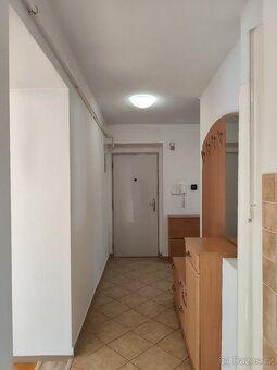 Pronajmu byt 2+1 - 2