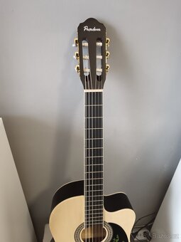 Kytara elektroakustická - 2