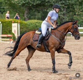 Úžasný učitel pro dítě - 2