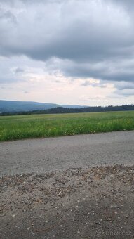 Prodam 2 pozemky v K.ú. Česká Čermná - 2