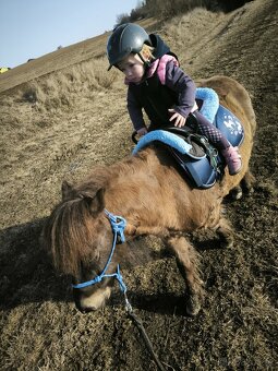 Pony k dětem - 2