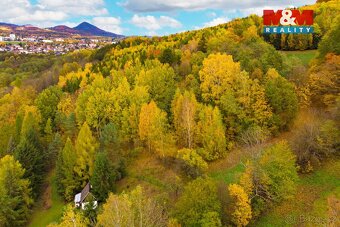 Prodej lesa, 3004 m², Skalice u České Lípy - 2