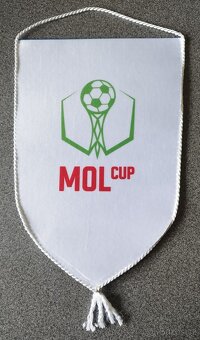 FINÁLE MOL CUP (Andrův stadion Olomouc) : SIGMA vs. SPARTA - 2