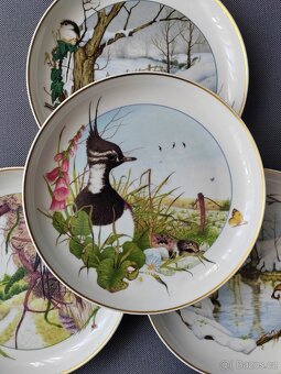 Sběratelsky talíře "Birds of thé country year" Martin Camm - 2