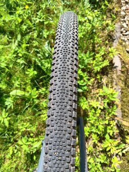 WTB Riddler 700x37 - 2