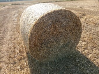 Sláma pšeničná 2025 průměr 125cm - 2