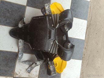 Paterák dětský - 2