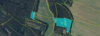 Lesní pozemky Heřmánkovice - 20336 m2 - 2