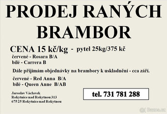 Ranné/nové brambory - 2