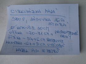 Cirkulárka domácí výroba za 500 kč - 2