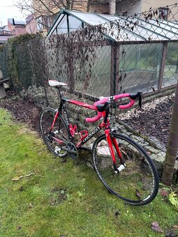 Colnago C50 aniversary edice - 2