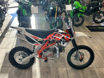 Kayo TT 140 2026 - 2