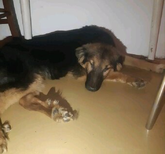 Daruji do dobrých rukou - 2