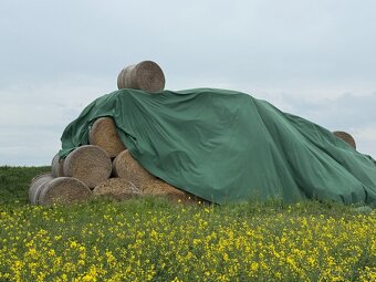 Prodám slámu - 2