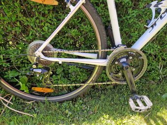 Specialized Ariel - 2