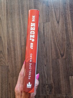 Penelope Ward - Jen jeden rok - 2
