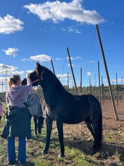 Nabizim docházku - 2