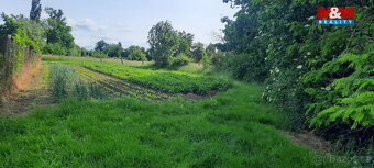 Prodej zahrady, 1622 m², Loučany - 2