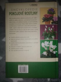 Encyklopedie pokojové rostliny - 2