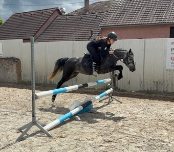 Sportovní pony princezna - 2