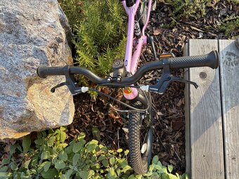 Růžové kolo Rascal 16 - 2