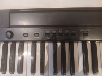 Klavesi, Casio CDP-100 - 2