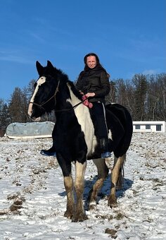 6 letá Barock Pinto - 2