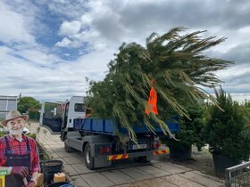 Zemní práce zahrady Praha Benešov Tábor -  výkopové práce - 2