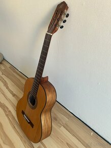 Prodávám kytaru - 2