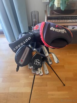 Mizuno + Callaway + Odyssey putter - 2