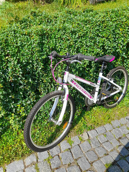 Prodám dětské kolo Leader Fox Buffalo Girl 24" - 2