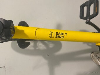 Galaxy early bird - 2