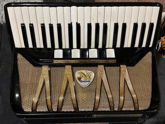 Harmonika Delicia Lignatone - 2