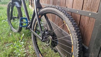 dartmoor Hornet 2012 Mini Mullet - 2