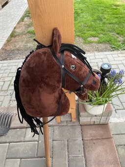 Klubové ježdění na hobby horsech - 2