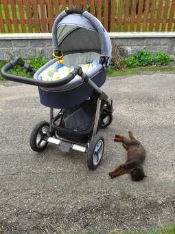 Baby Design Lupo - 2
