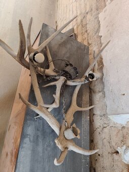 Lustr z paroží / myslivost - 2