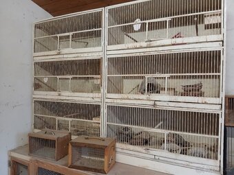 Klece pro papoušky,voliera - 2