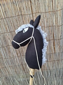Hobby horse - 2