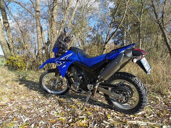 Yamaha XT660R - 2