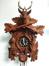 Starsi, kukacky, Schwarzwald, REZERVOVANO - 2